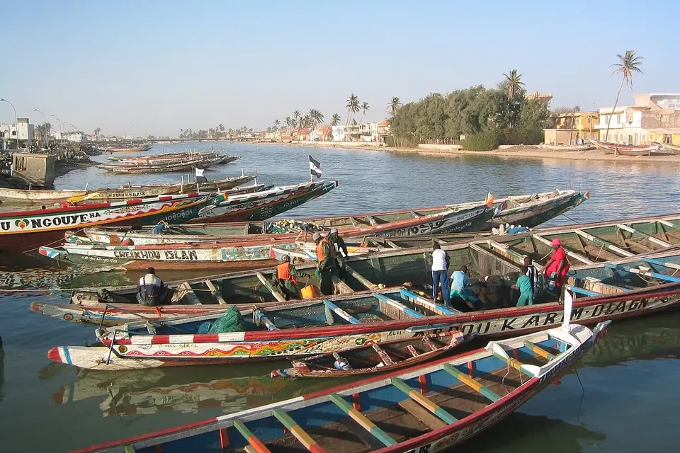Pirogues de pêche peintes alignées sur la rive du fleuve à Saint-Louis-du-Sénégal