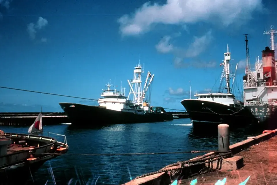 Plusieurs thoniers senneurs modernes amarrés côte à côte dans le port de Dakar