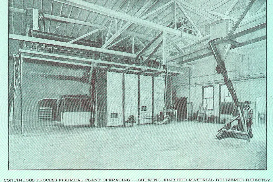 Photographie ancienne en noir et blanc d'une machine d'usine de farine de poisson remplissant directement des sacs